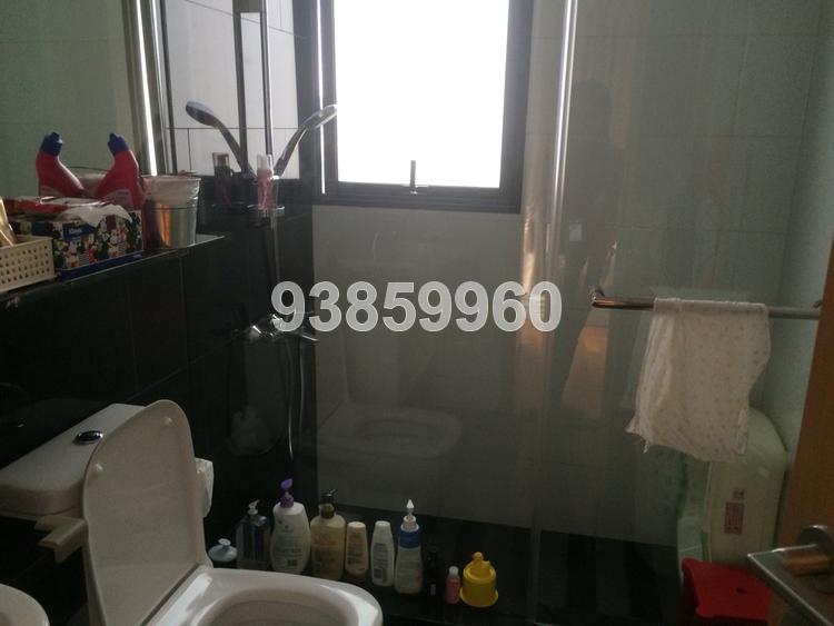 Skysuites 17 (D12), Apartment #105346042